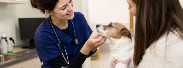 Recommend a Friend: Helping Local Pet Owners Save